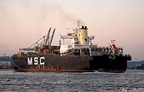 MSC LEA