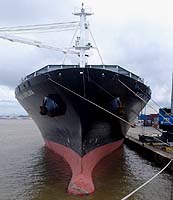 SANTA CAROLINA