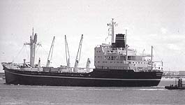 TORRENS