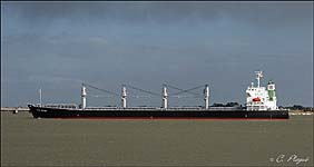 IYO WIND