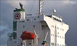 IYO WIND