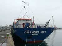 Icelandica HAV