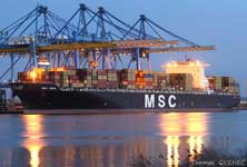 MSC Asya