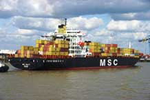 MSC HAILEY