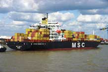 MSC HAILEY