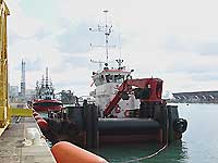 DULAS ISLAND
