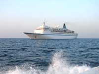 Albatros