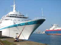 Albatros