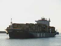 MSC GINA