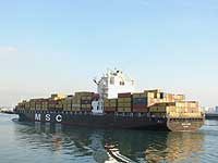 MSC GINA