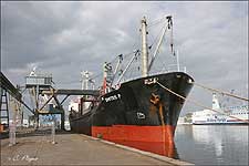 DIMITRIS P
