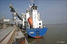 VASADIEP