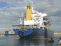 STAR FLORIDA
