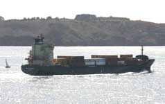 SANDY RICKMERS