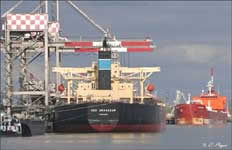 NSS GRANDEUR