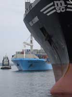 MAERSK NASHVILLE