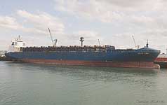 CONTI SINGA