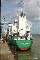 ARKLOW VIKING