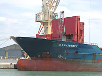 CEC LIBERTY