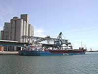 ALMADIEP