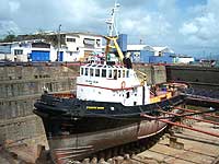 POINTE VIGIE