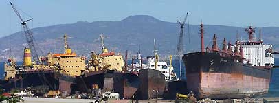 Aliaga