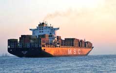 MSC HEIDI