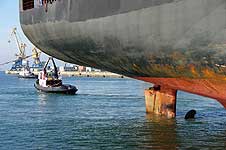 MSC CATANIA