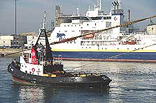 MSC CATANIA