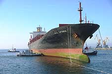 MSC CATANIA