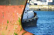 MSC CATANIA