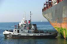 MSC CATANIA