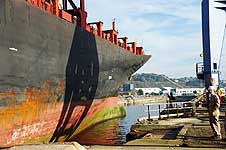 MSC CATANIA