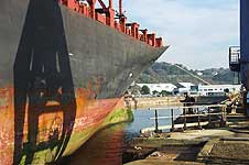 MSC CATANIA