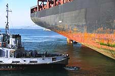 MSC CATANIA