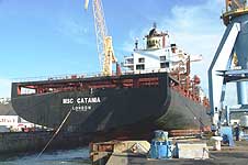 MSC CATANIA
