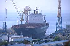 MSC CATANIA