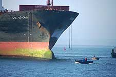 MSC CATANIA