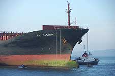 MSC CATANIA