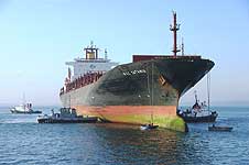 MSC CATANIA