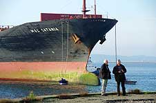 MSC CATANIA
