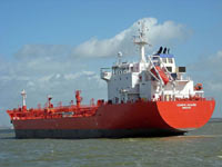 ESHIPS AGAMID