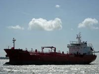 ESHIPS AGAMID