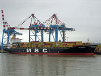 MSC AMERICA