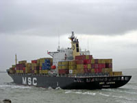 MSC LEVINA