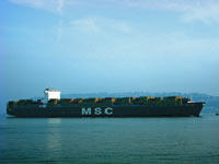 msc Joanna