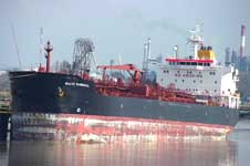 Baltic Marshall