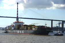 MSC Hailey