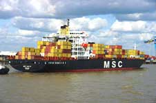 MSC Hailey