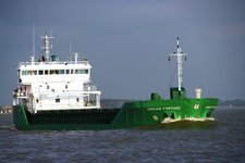 Arklow Fortune